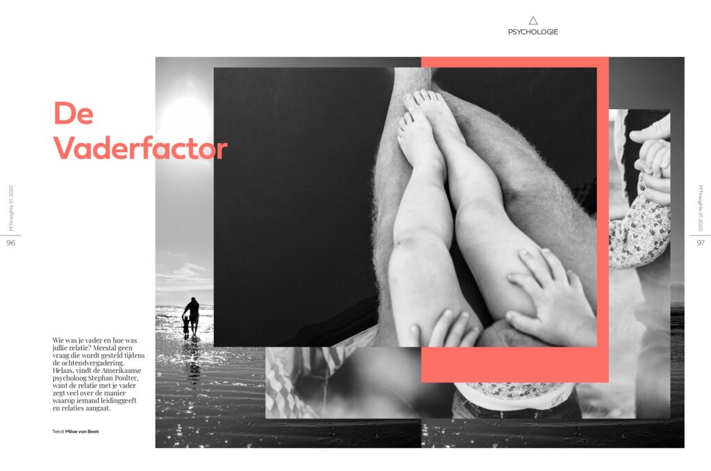 Vaderfactor (cover)